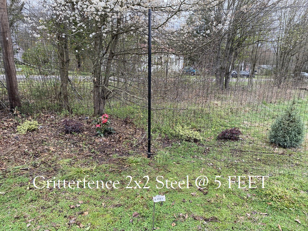 Critterfence Steel Fence 2x2