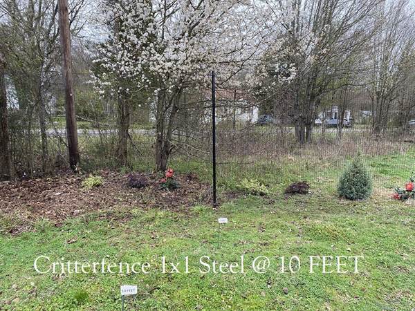 Critterfence Black Steel 1 Inch Square Grid 8 inches x 100ft - 680332611121