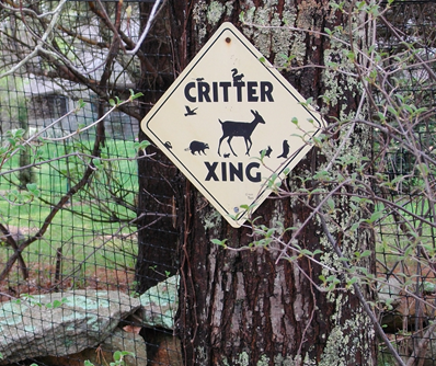Deer Fence Crossing